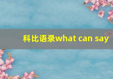 科比语录what can say